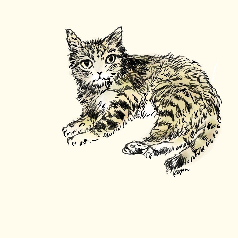 もしゃもしゃ動物の絵166 ペン画ねこさん彩色 かよん Note