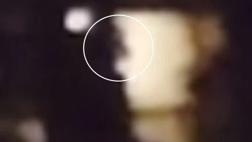 画像11