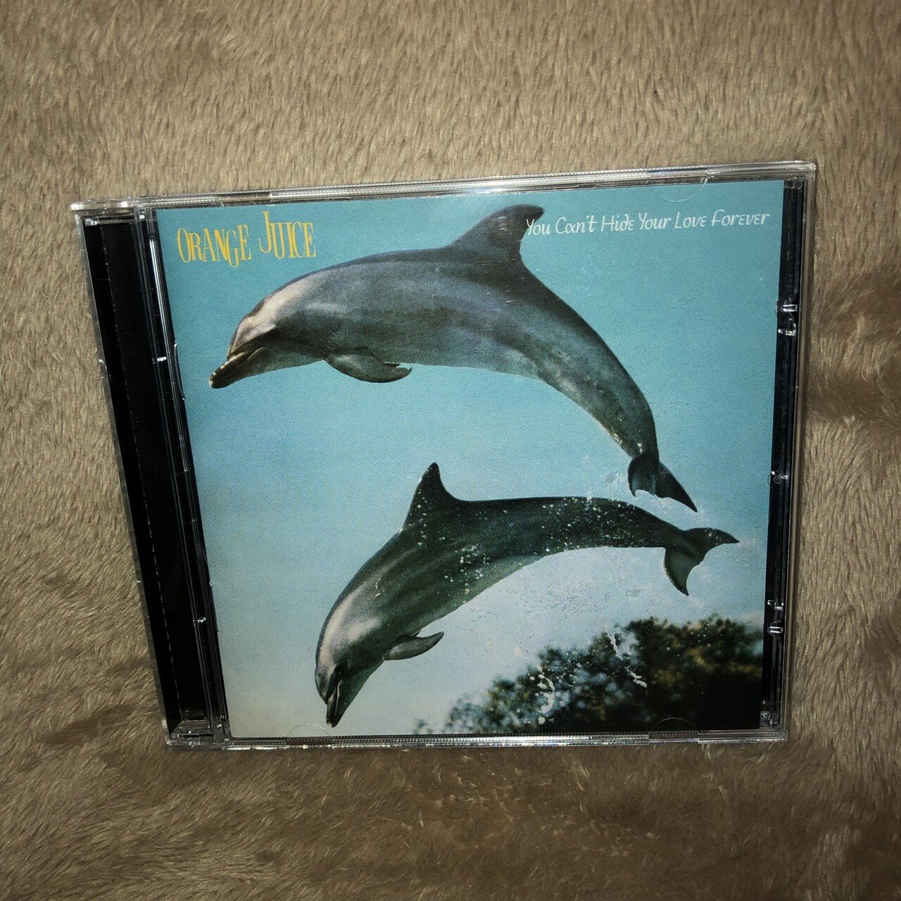 Orange Juice の You Can T Hide Your Love Forever を聴いてみた編 内山 結愛 Note