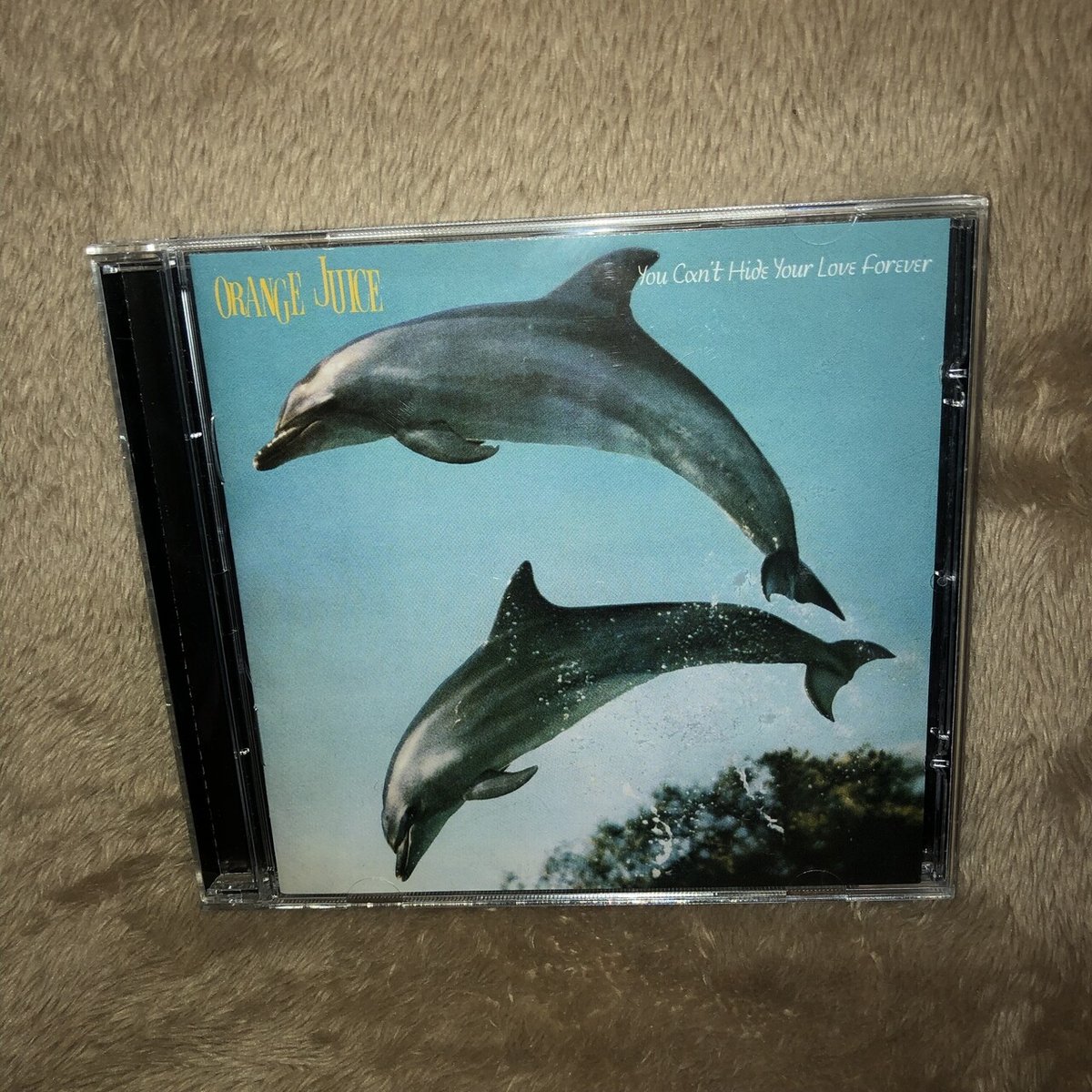 Orange Juice の『You Can't Hide Your Love Forever』を聴いて