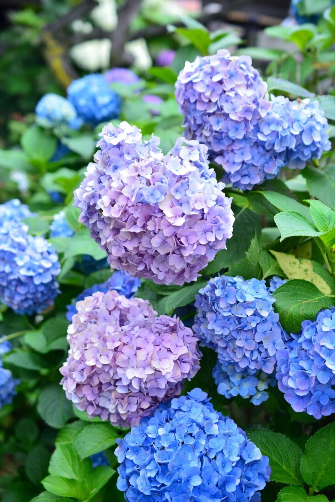 画像31