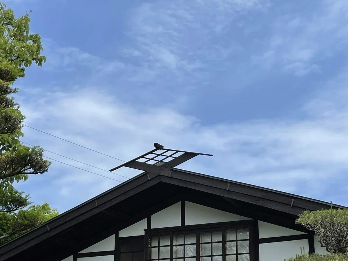 画像39