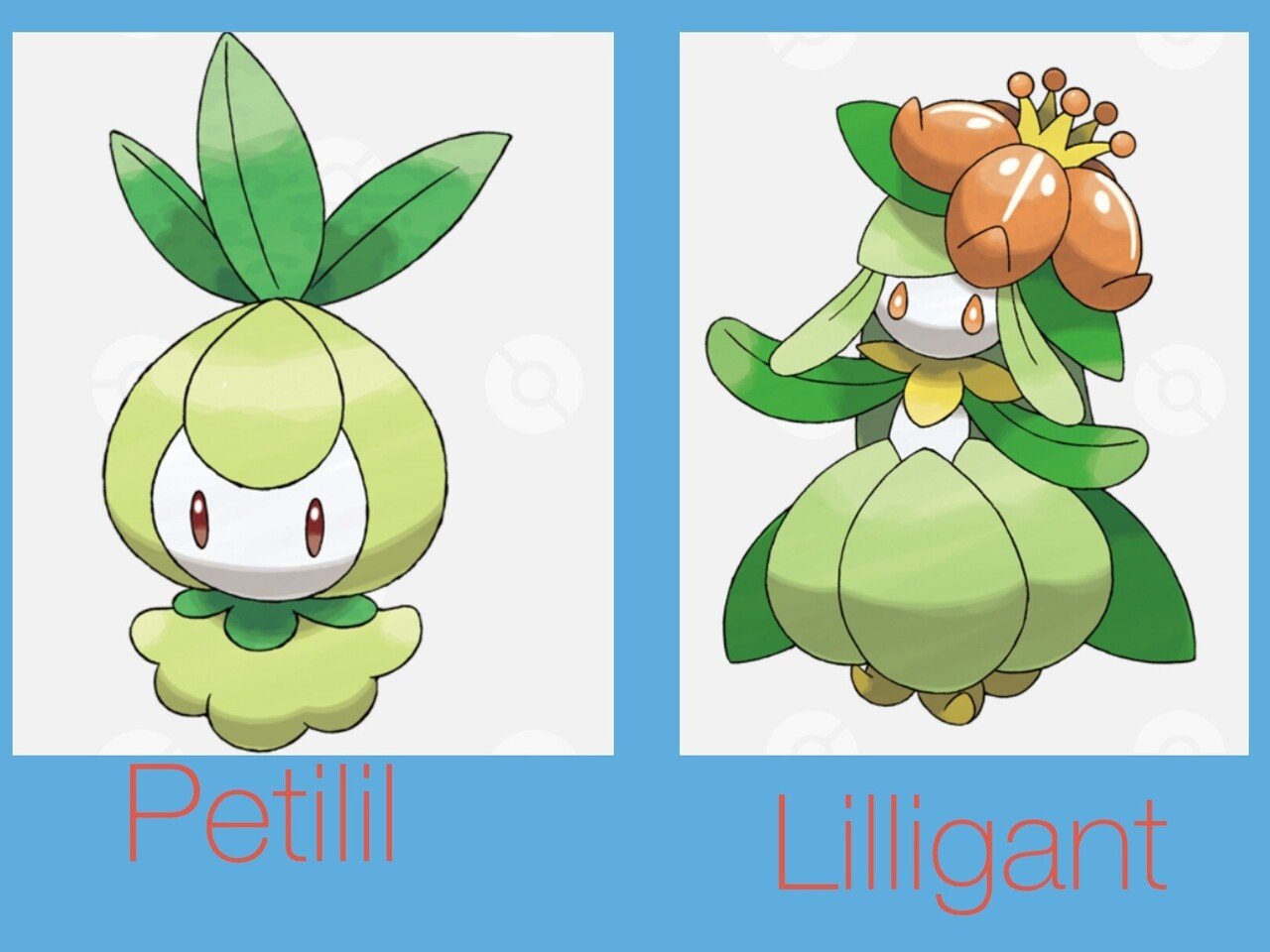 ポケモンの英語名全部覚える日記 第5世代中編 リユルン Note