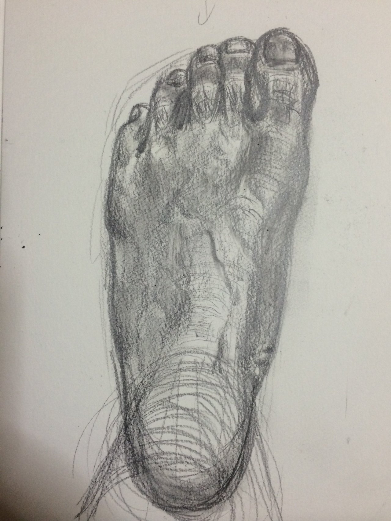 デッサン Ando Note