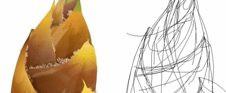 時短 イラレでタケノコの描き方 イラレ職人 コロ Note