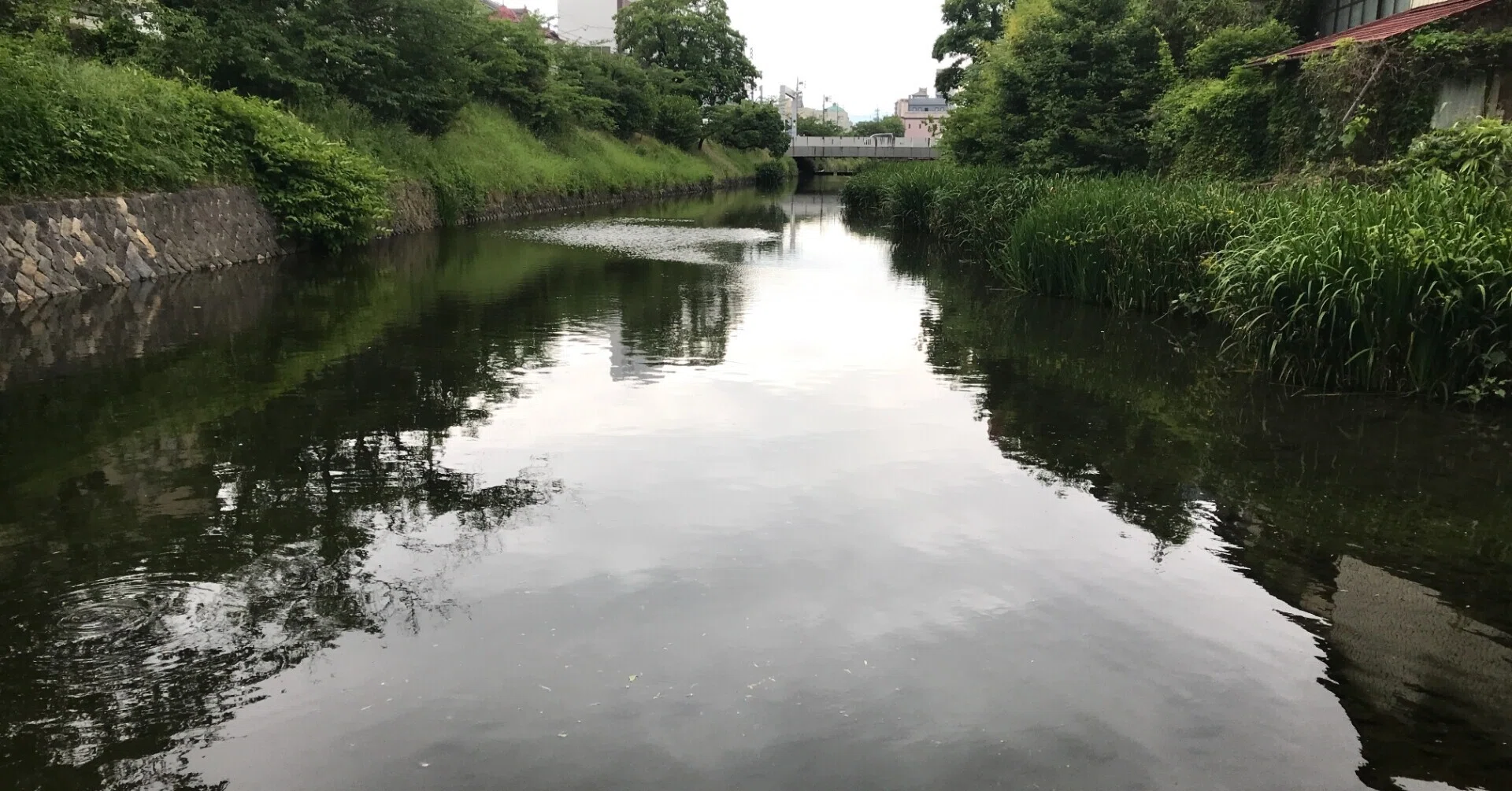 まつもと城下町湧水群めぐり (1/4)｜Sean Zhong