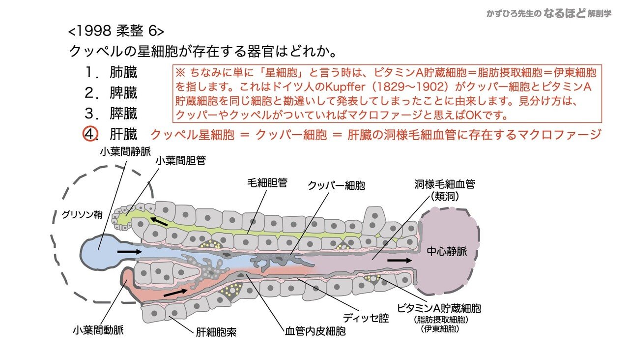 4 4 3 消化器系 肝臓 胆嚢 膵臓 国試過去問解説 黒澤一弘 Note