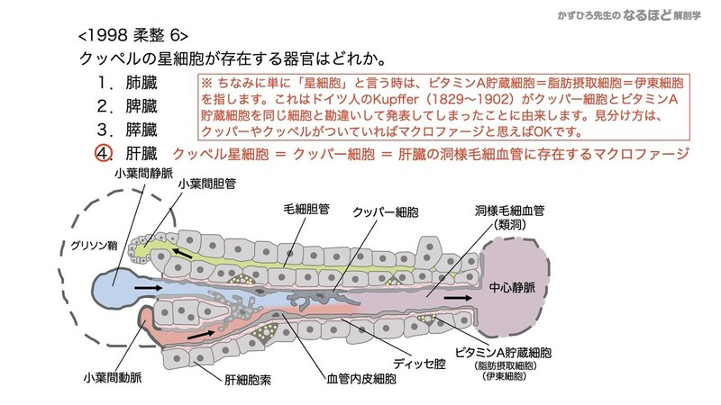 【徹底的国試対策】4-4 消化器系 - 肝臓・胆嚢・膵臓.158