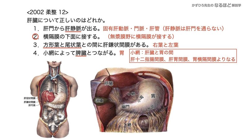 【徹底的国試対策】4-4 消化器系 - 肝臓・胆嚢・膵臓.159