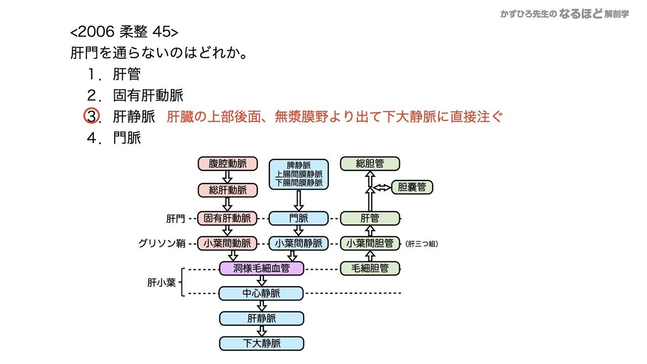 4 4 3 消化器系 肝臓 胆嚢 膵臓 国試過去問解説 黒澤一弘 Note