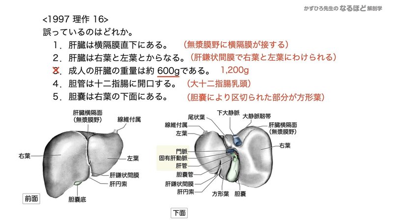 【徹底的国試対策】4-4 消化器系 - 肝臓・胆嚢・膵臓.163