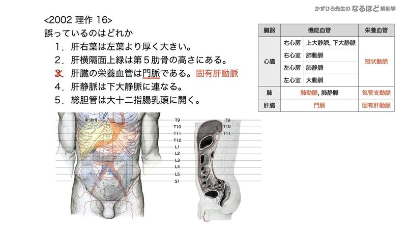 【徹底的国試対策】4-4 消化器系 - 肝臓・胆嚢・膵臓.164