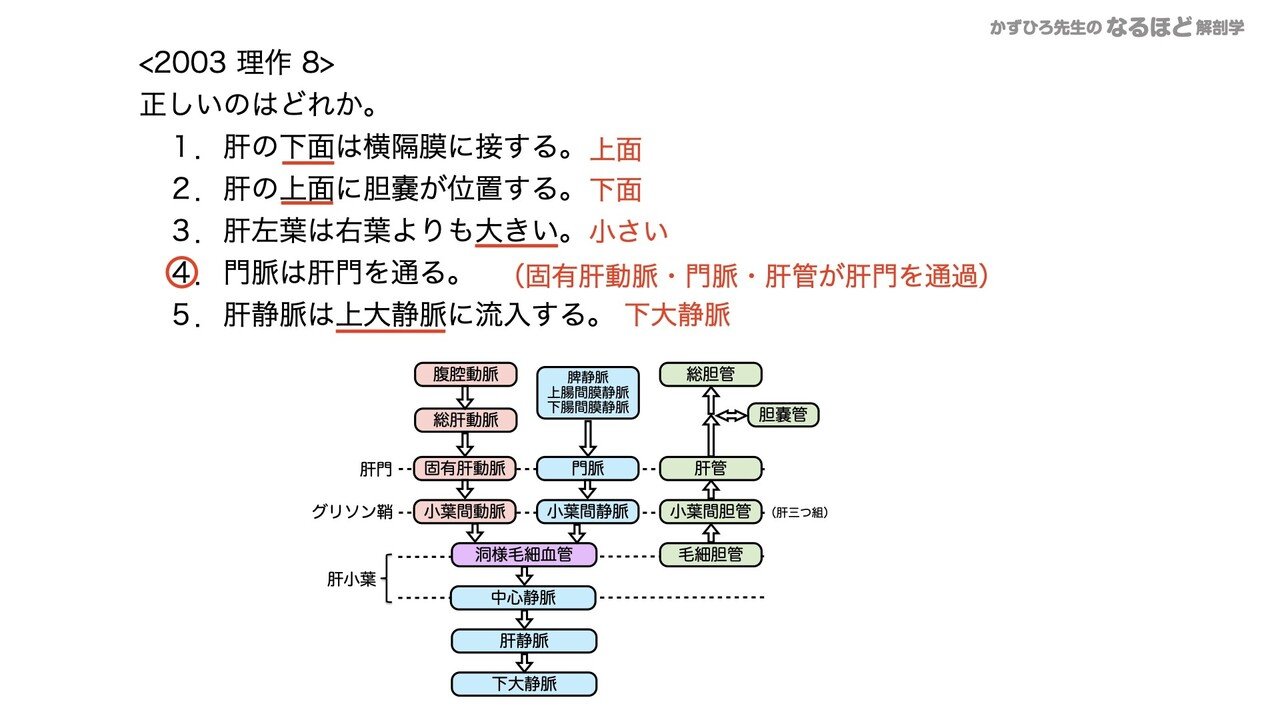 4 4 3 消化器系 肝臓 胆嚢 膵臓 国試過去問解説 黒澤一弘 Note