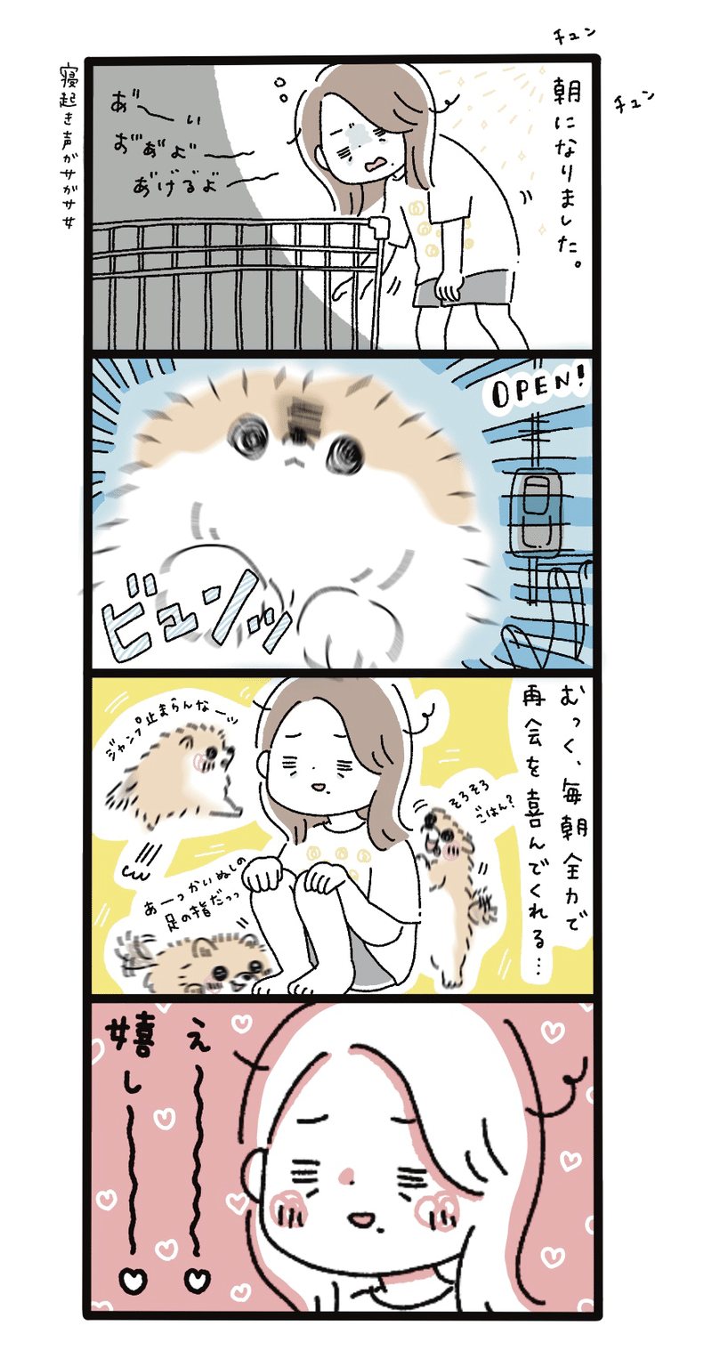 毎朝奇跡の再会みたいな反応してくれる しろくまななみん Note