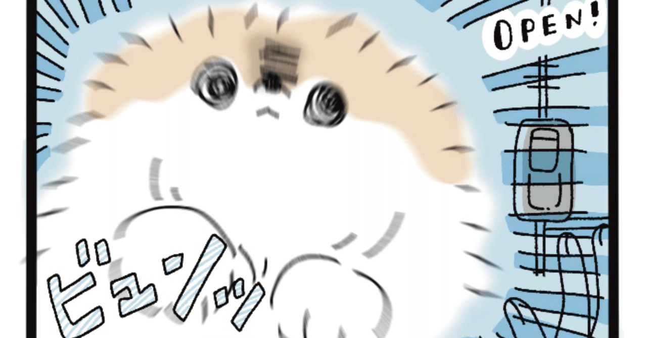 毎朝奇跡の再会みたいな反応してくれる しろくまななみん Note