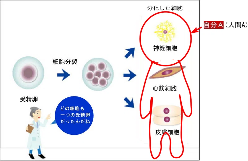 画像13