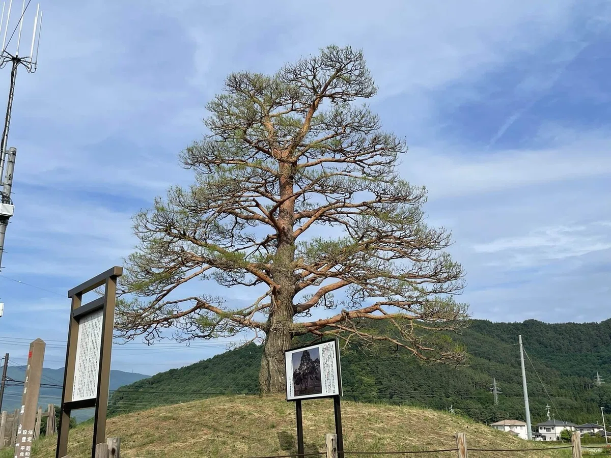 画像86