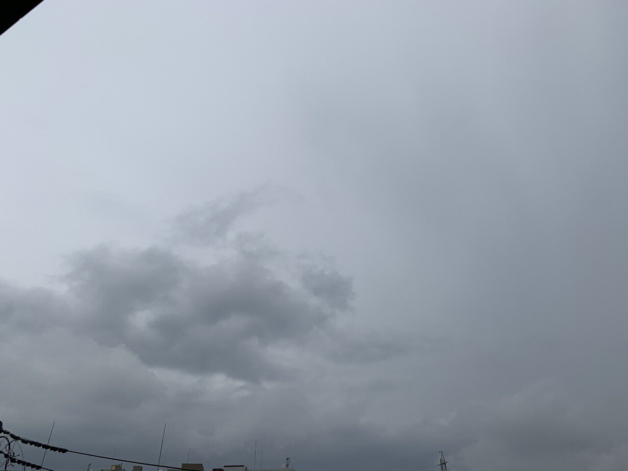 2021.6.14mon☔21～27℃ 梅雨入り⋆̩☂︎*̣̩ 我が家では最近 ...