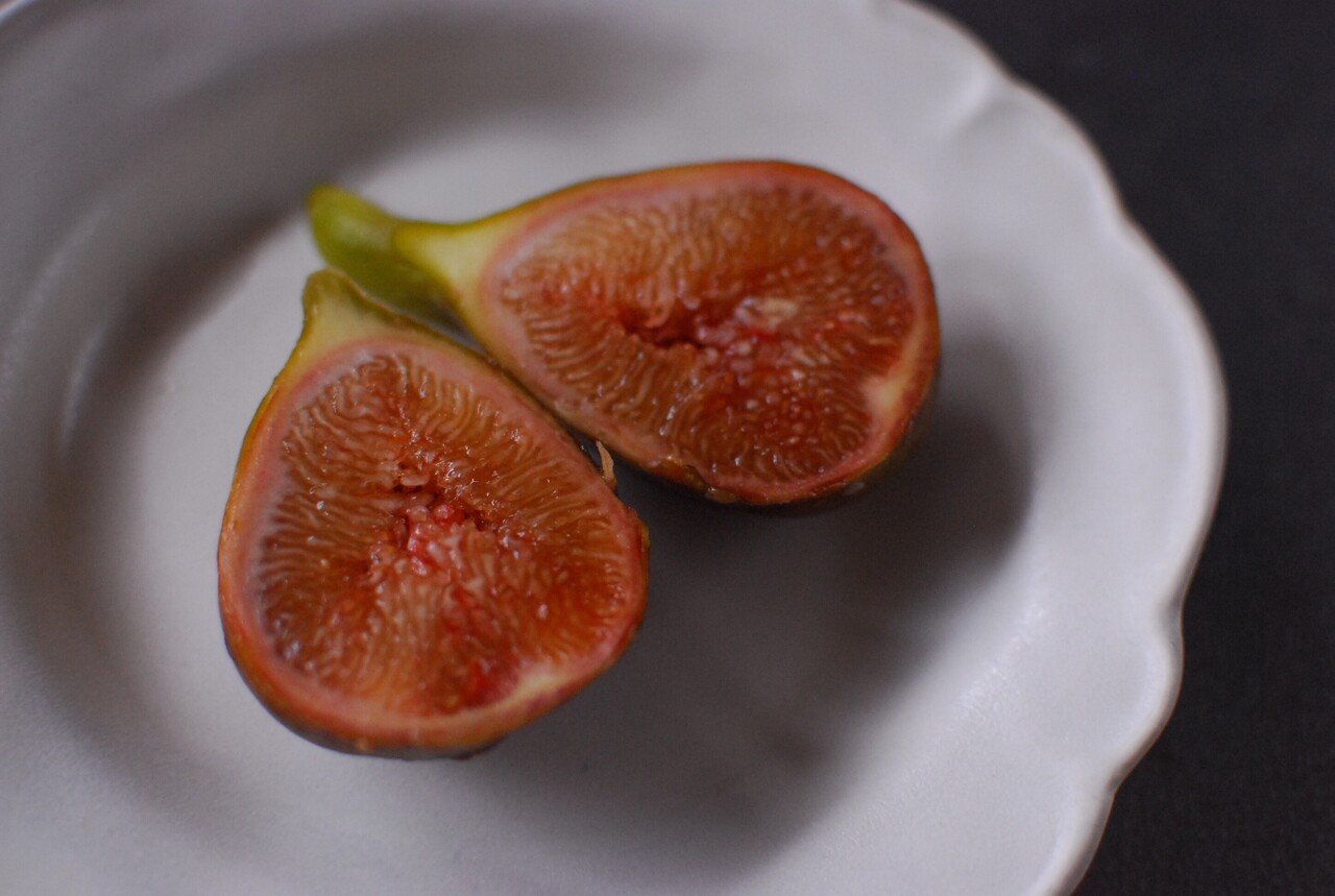 Fig Varieties【Scahr Amber】シャー・アンバー｜世界のいちじく育て