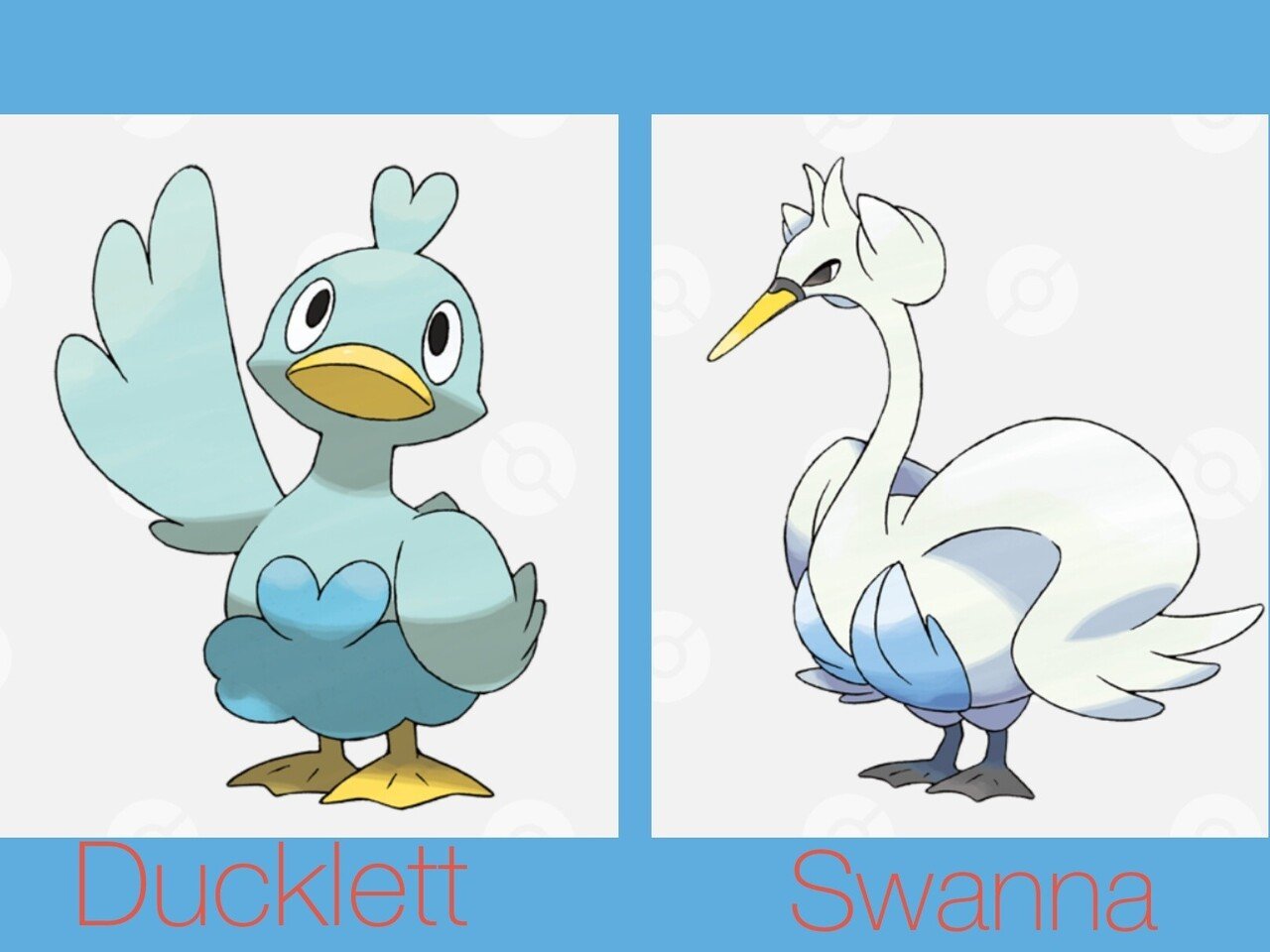 ポケモンの英語名全部覚える日記 第5世代中編 リユルン Note