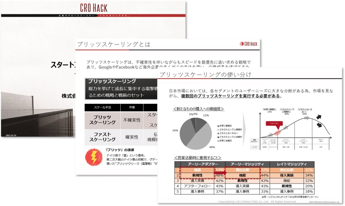 ブリッツスケーリング_資料画像