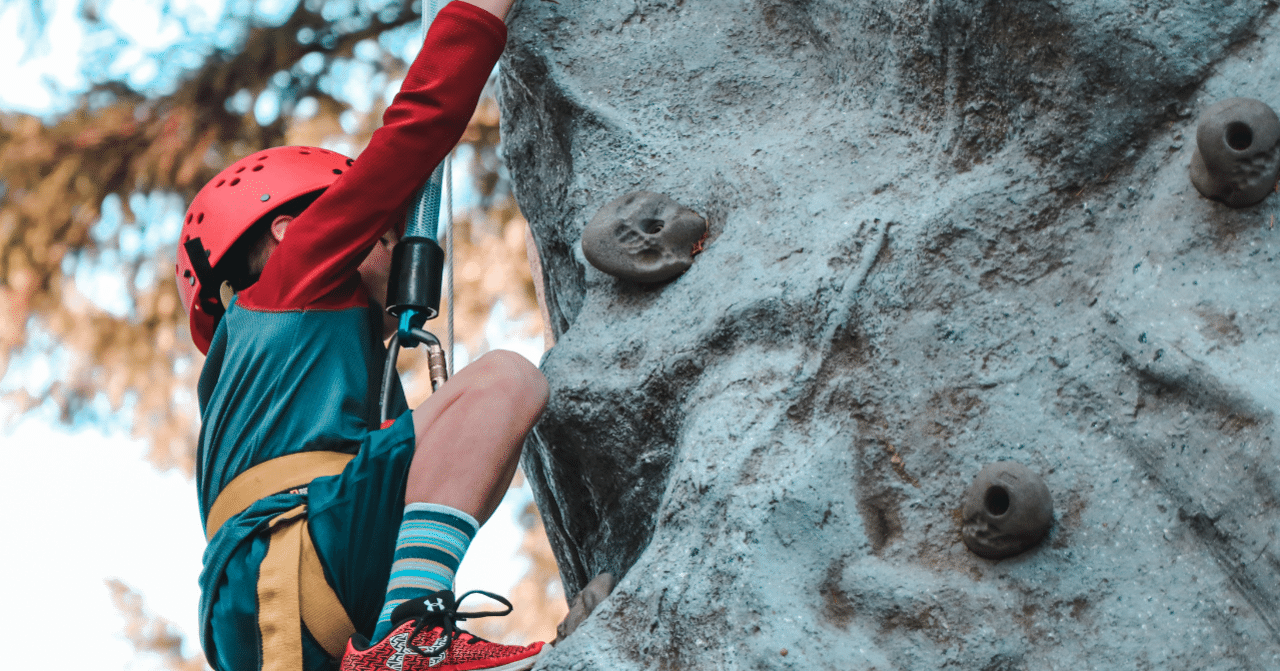 上達の法則 効率のよい努力を科学する 上達の法則 効率のよい努力を科学する (PHP新書) | 岡本 浩一 |本