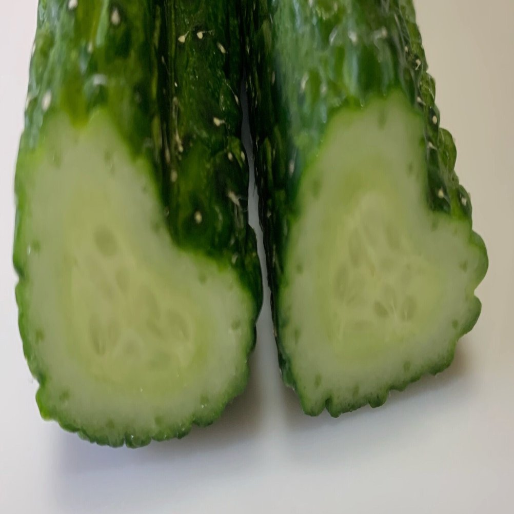 ハートのきゅうりができました💕🥒｜💐soundsurfer（サウ）🏄🎶🌊