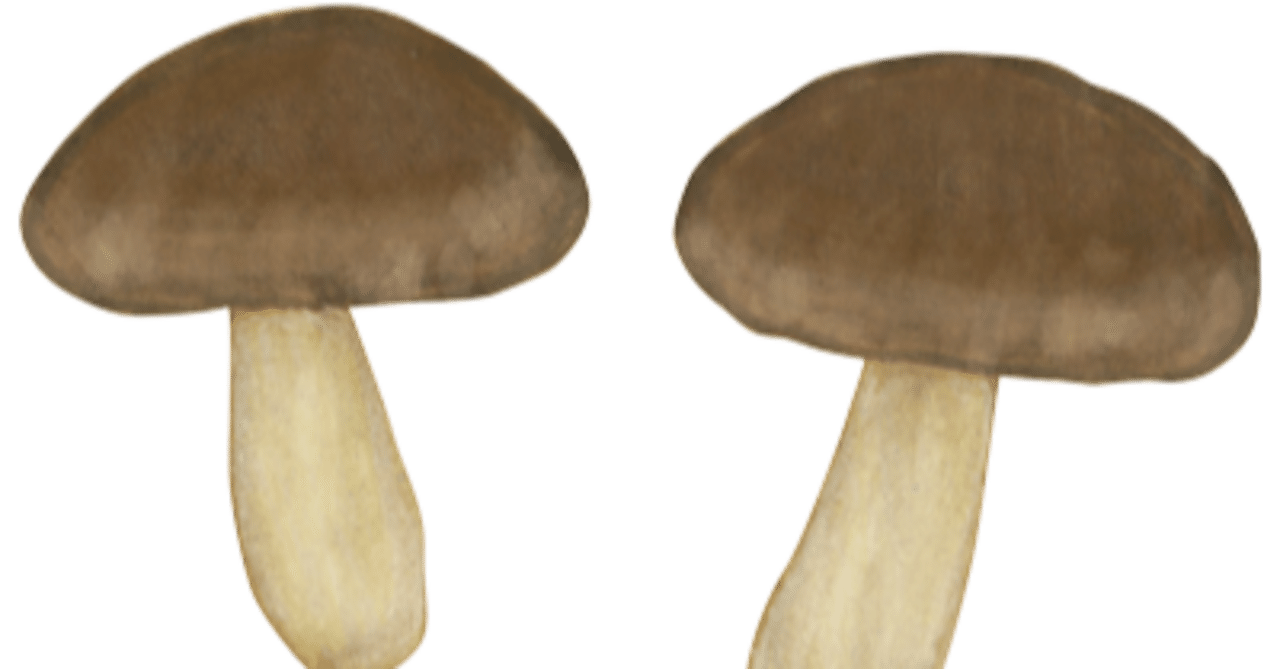 ちんちんとかセフレとかの話 Pon Note