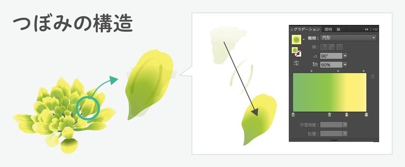 時短 イラレで菜の花の描き方 イラレ職人 コロ Note