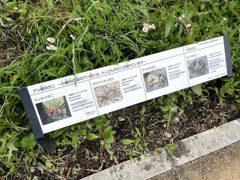 神奈川県が誇る 奇跡の自然 である小網代の谷 三浦市 に行ってきた Takashi Katagiri Note