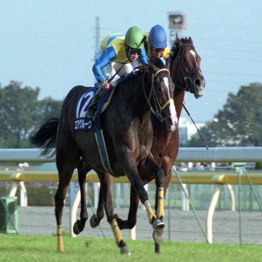 ウマ娘」の女王様キャラでも話題！？競馬の歴史を変えた〝女帝〟エア 