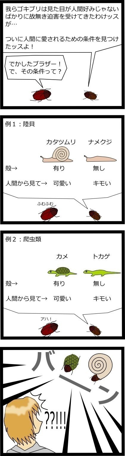 実際は殻の有無より丸っこいか細長いかがポイントな気がします。