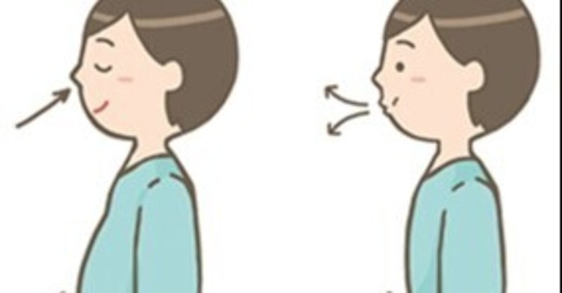 横隔膜呼吸 の新着タグ記事一覧 Note つくる つながる とどける 横隔膜呼吸 の新着タグ記事一覧 Note つくる つながる とどける