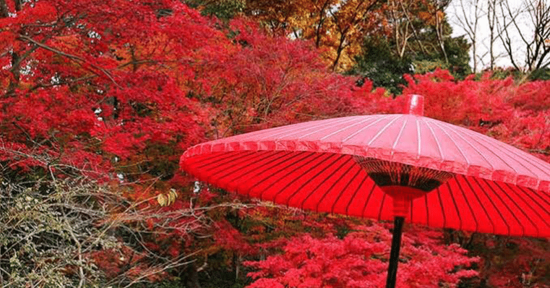 ポジティブ日本語辞典 ツッコミ町 Note