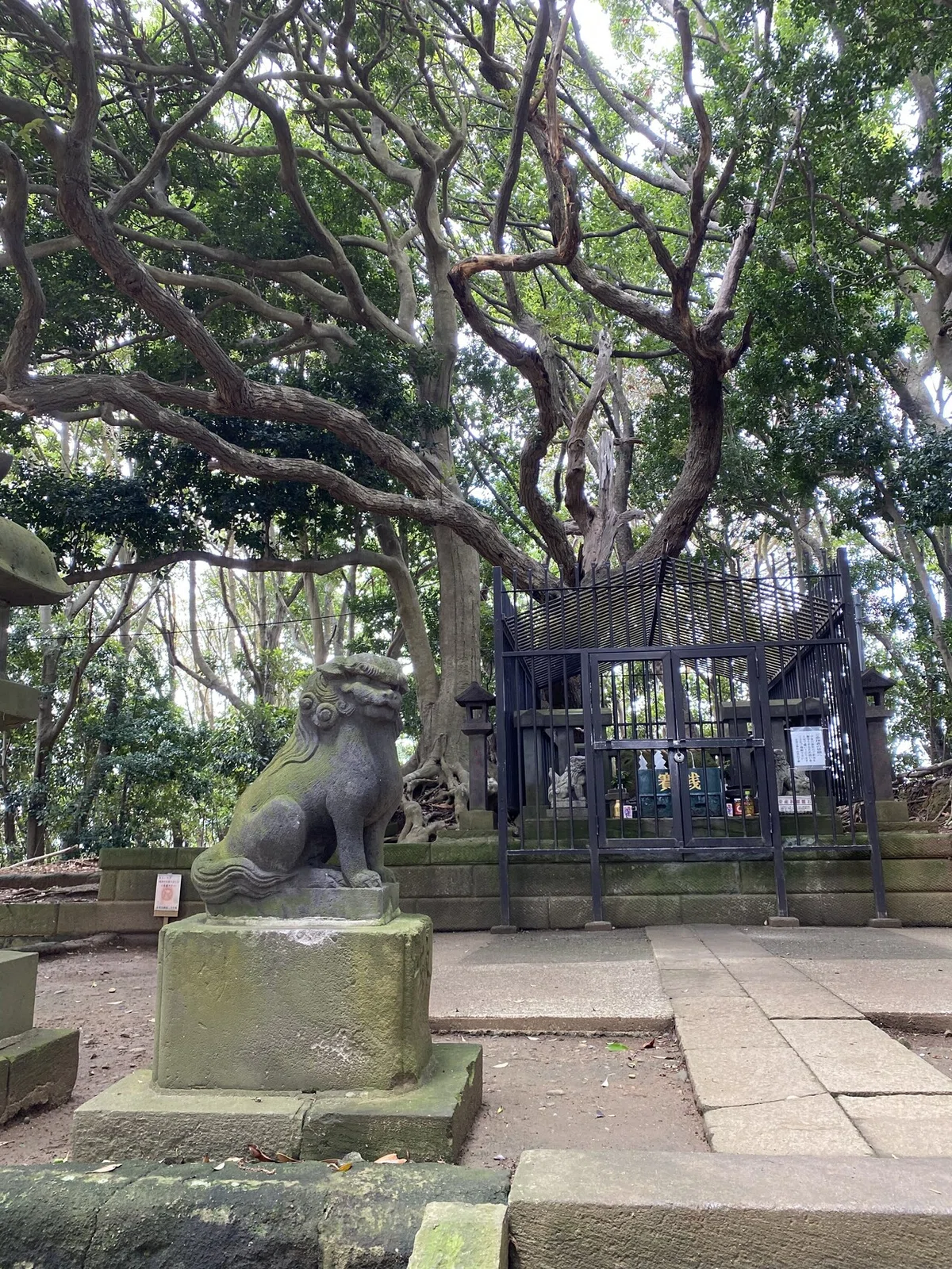 画像1