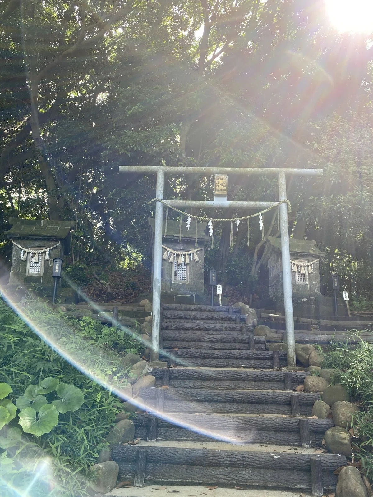 画像4