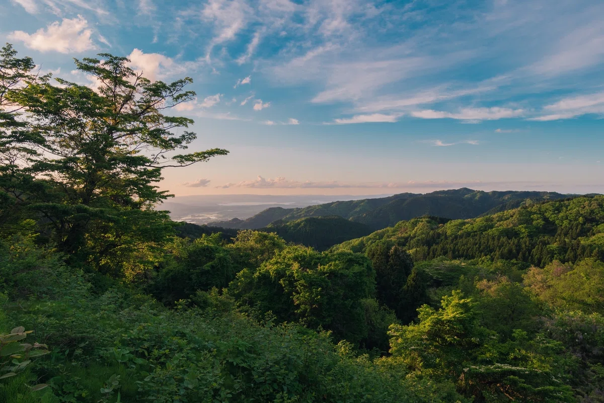 画像