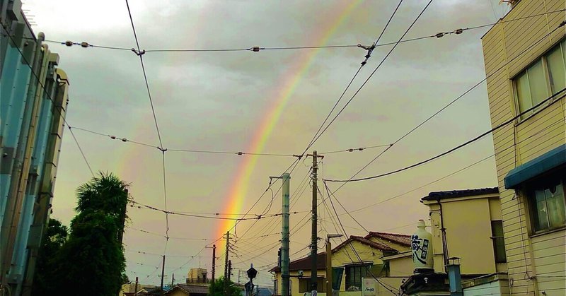 左利きの雨男はポケットに手を入れて歩く 5 左利きの雨男 Note