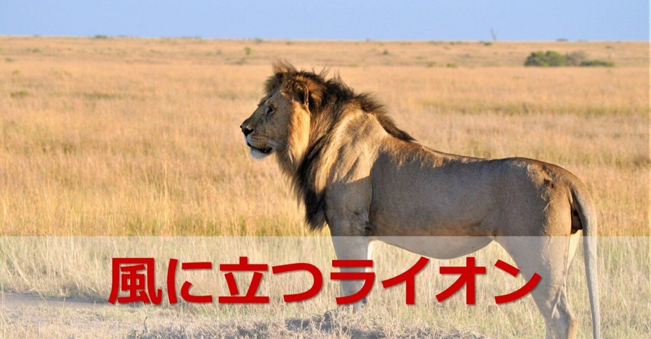 風に立つライオン 櫻井 諒 繋がった人にプラスの差を産み出したい人 Note