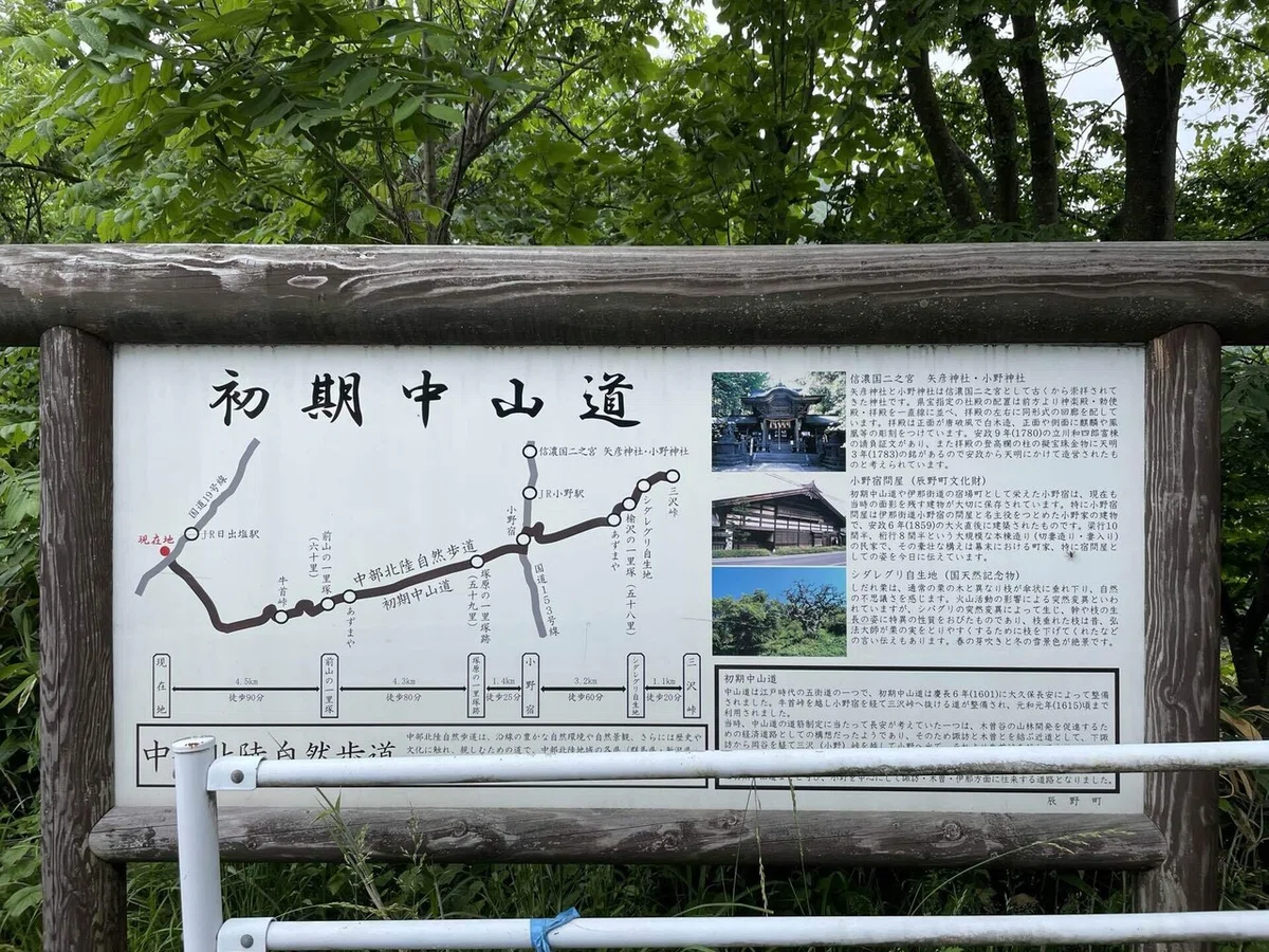 画像35
