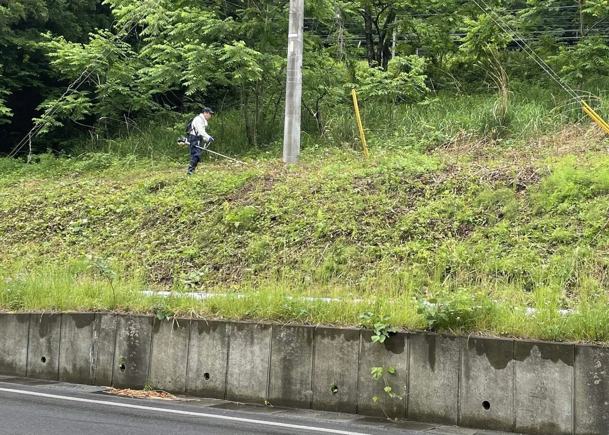 画像44