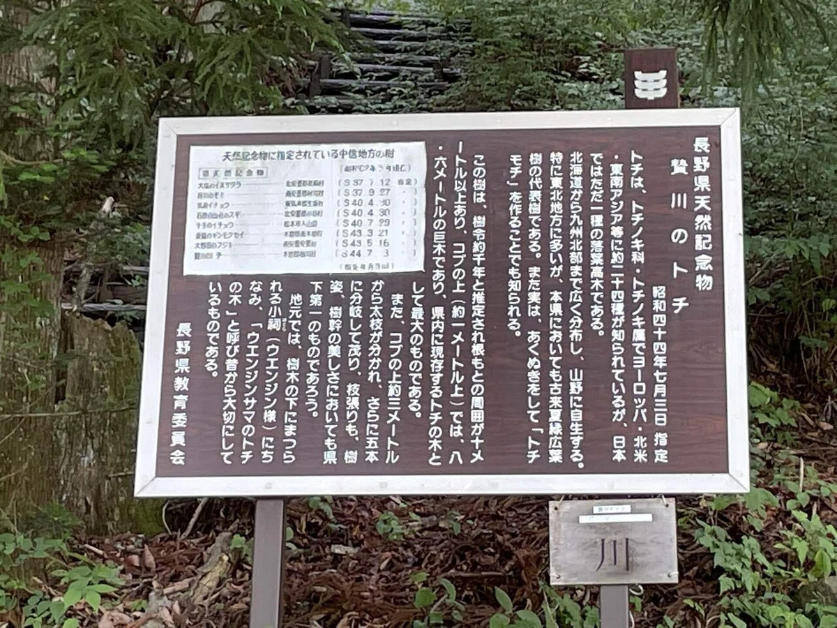 画像75