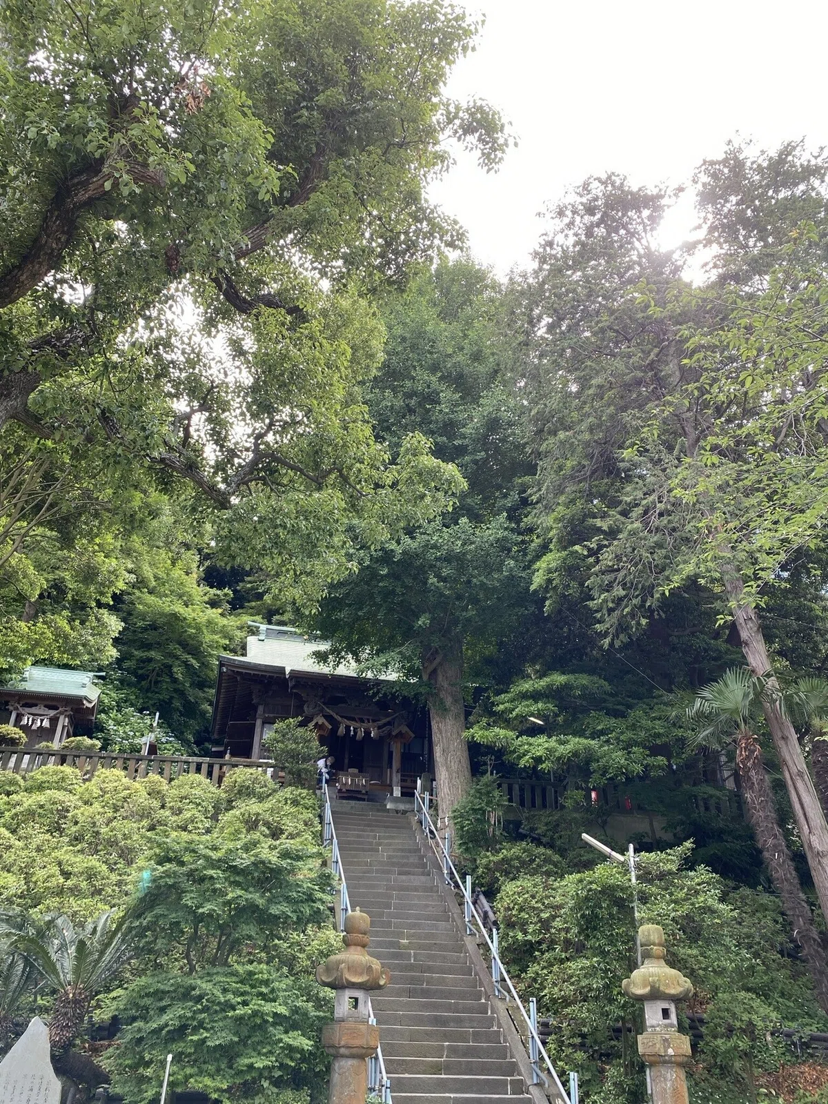 画像4