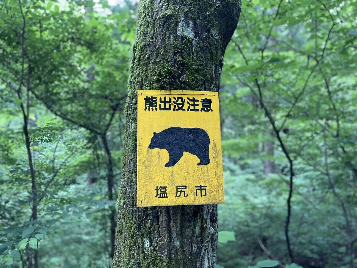 画像180