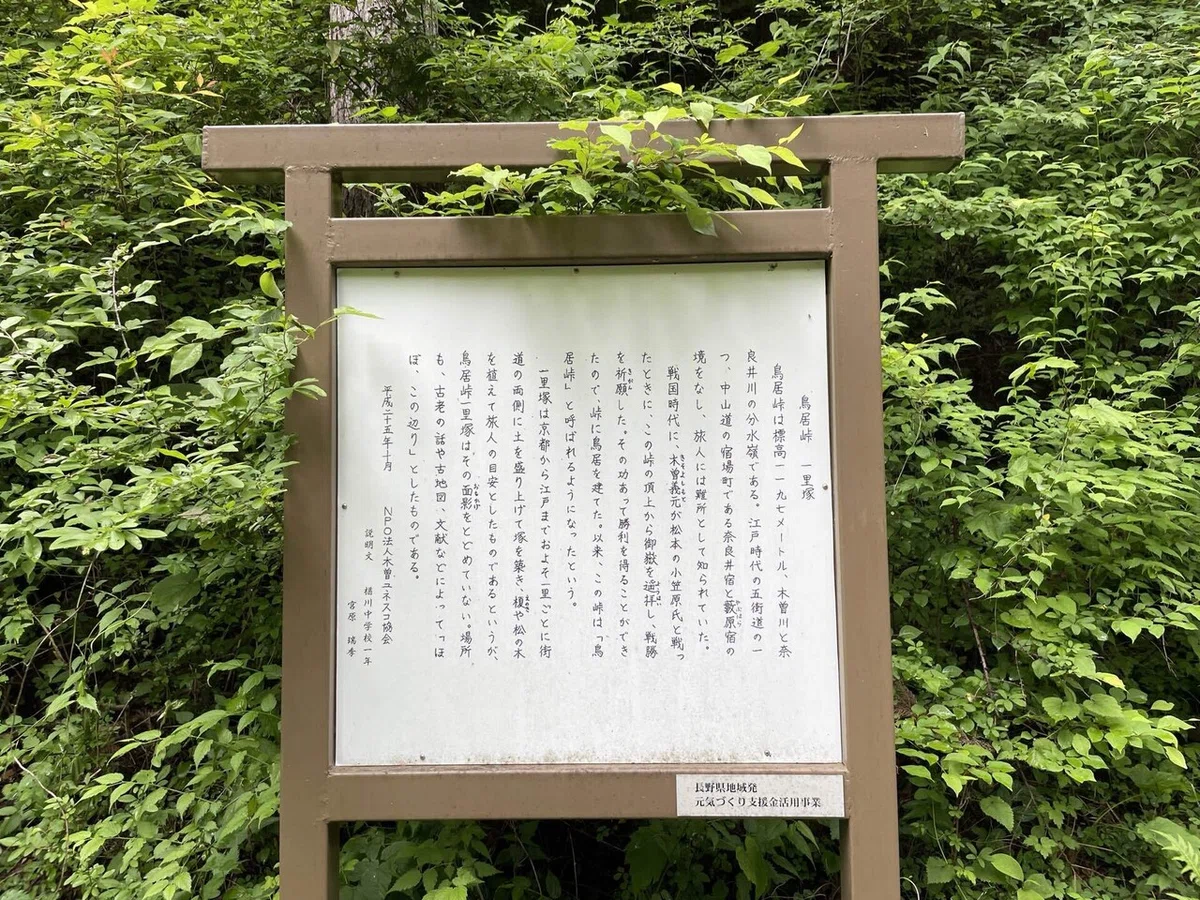 画像182
