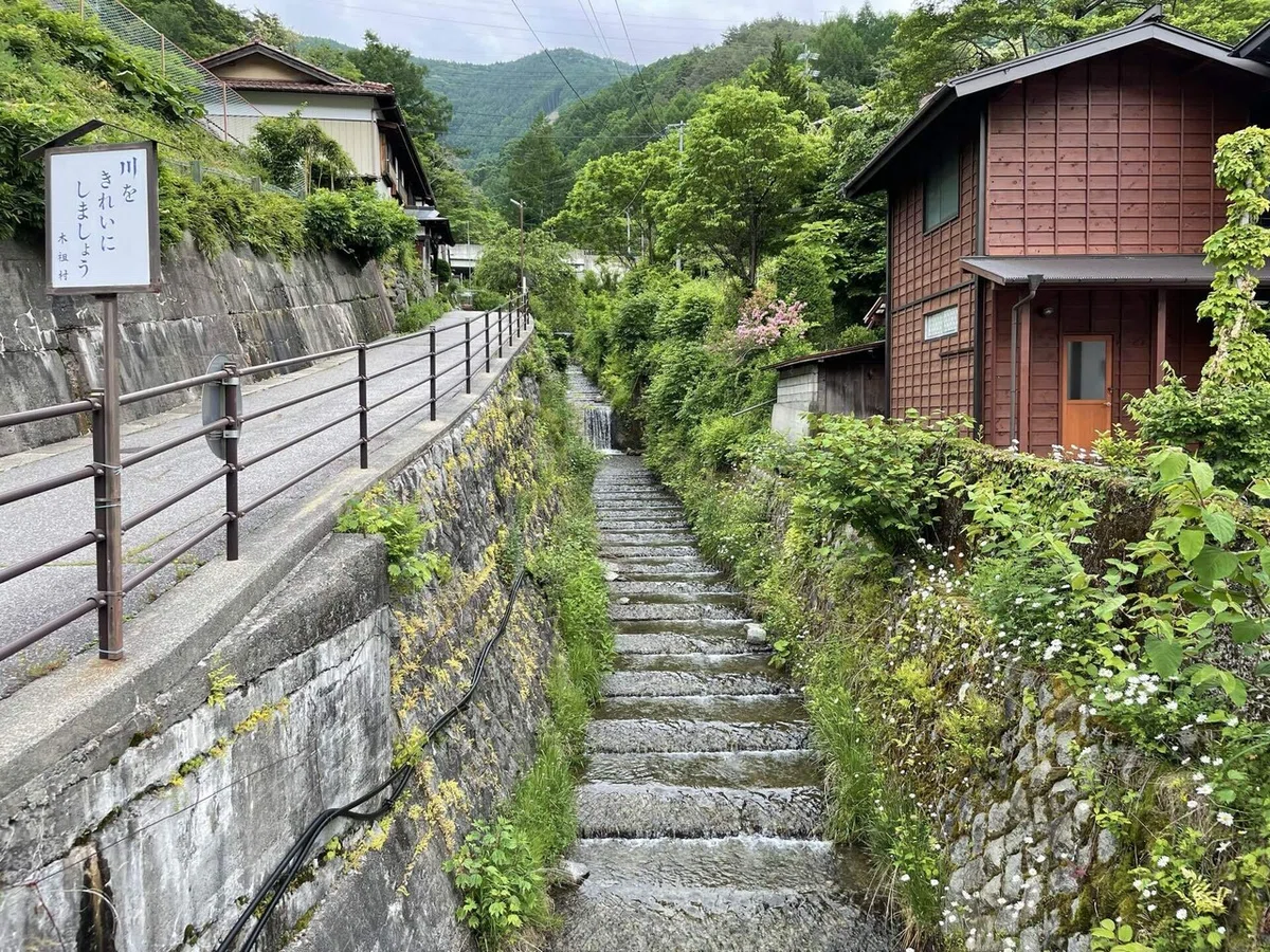 画像228
