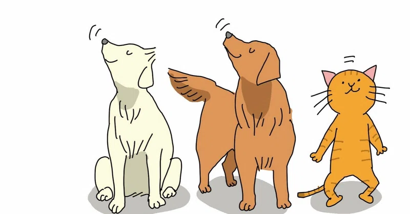 ここまでわかった犬たちの内なる世界 07 嗅ぐ ことで人の見えないものを見る ２本足の犬 Researcher Writer Photographer Note