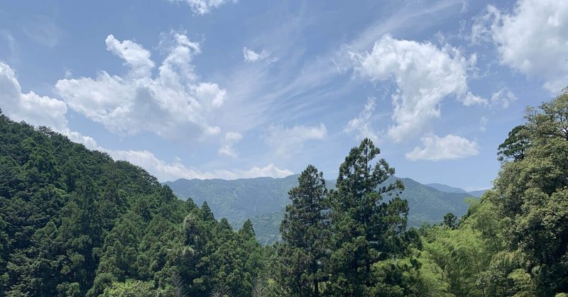 Conohaでたてたマルチサーバーを1 17にバージョンアップしたけど失敗した話 備忘録 しめさばドスコイ Note