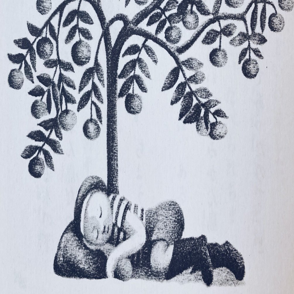 エルマーのぼうけん あやす 子どもの可能性を広げるタネまき Note