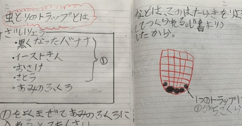 虫好きな次男の夏休み自由研究 あやしも Note 虫好きな次男の夏休み自由研究 あやしも Note